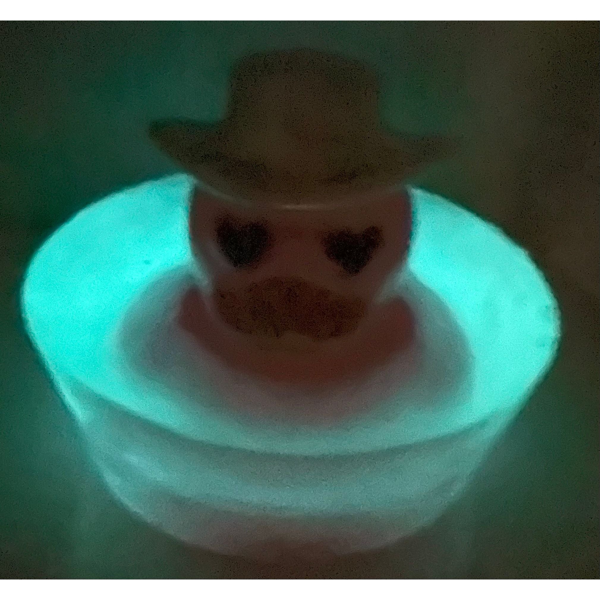 * Glow in the Dark Rubber Duckie Soap